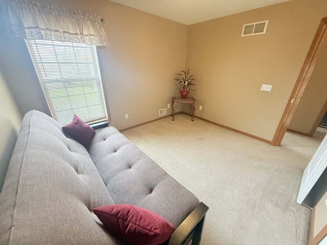 5173 Farnham Dr N, Hugo, MN 55038 - sitting room with carpet and baseboards