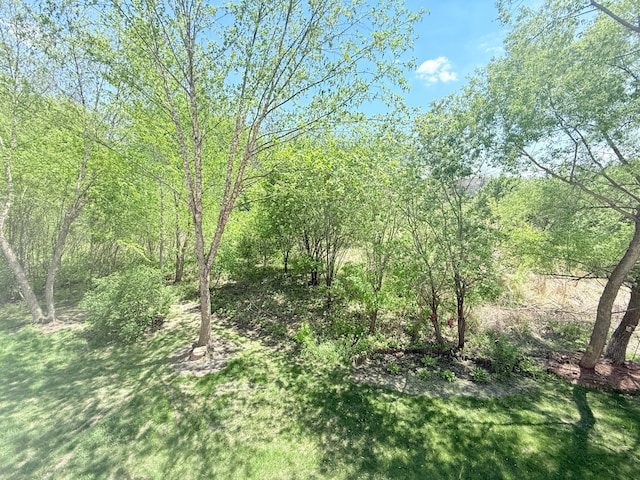 5173 Farnham Dr N, Hugo, MN 55038 - view of tree filled area