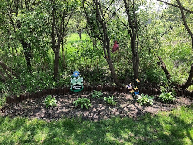 5173 Farnham Dr N, Hugo, MN 55038 - view of yard