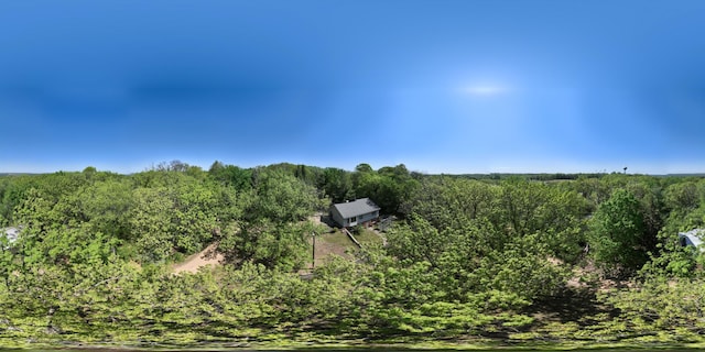 1286 Krattley Ln, North Hudson, WI 54016 - bird's eye view of a forest
