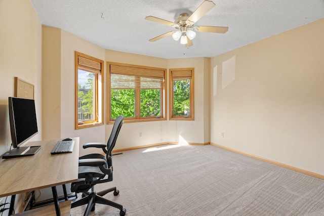 11600 43rd Ave N, Plymouth, MN 55442 - unfurnished office with baseboards, a ceiling fan, carpet floors, and a textured ceiling