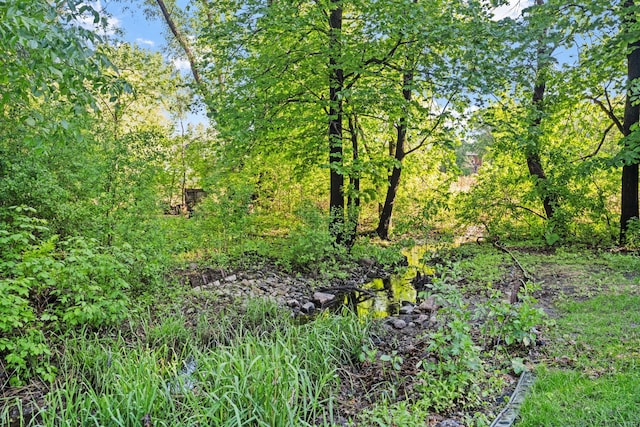 11600 43rd Ave N, Plymouth, MN 55442 - view of local wilderness