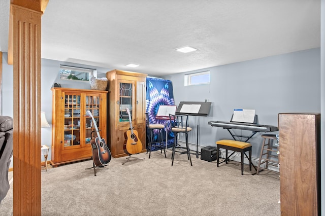 12177 Fremont Ln, Zimmerman, MN 55398 - workout area featuring carpet and baseboard heating