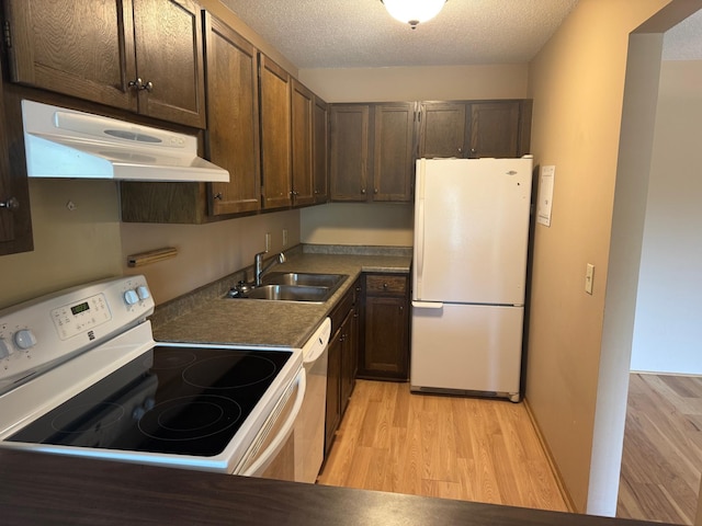 kitchen featuring white appliances, under cabinet range hood, a sink, light wood-style floors, and dark brown cabinets