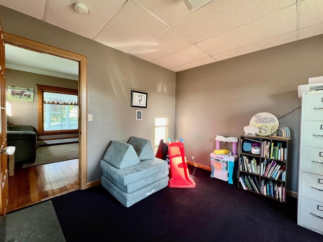 308 Cedar Ave S, Odessa, MN 56276 - sitting room featuring a paneled ceiling and baseboards