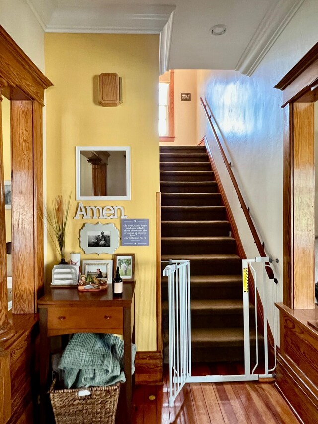 308 Cedar Ave S, Odessa, MN 56276 - stairway featuring wood-type flooring and ornamental molding