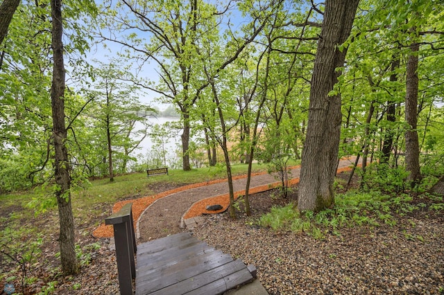 15350 Blackhawk Rd, Audubon, MN 56511 - view of yard