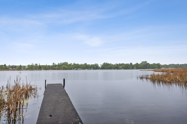 15350 Blackhawk Rd, Audubon, MN 56511 - dock area with a water view