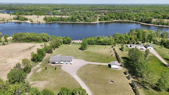 13936 County Road 7 NW, Clearwater Twp, MN 55320 - drone / aerial view of a forest and a nearby body of water