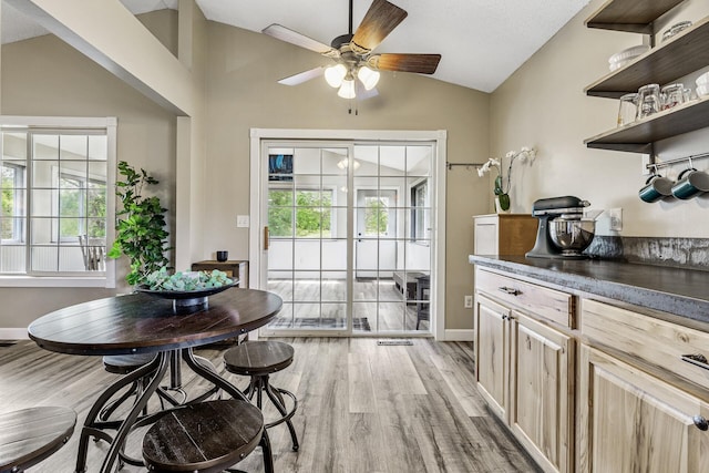 809 Orchard St, Belle Plaine, MN 56011 - dining room with vaulted ceiling, light wood-type flooring, plenty of natural light, a ceiling fan, and baseboards