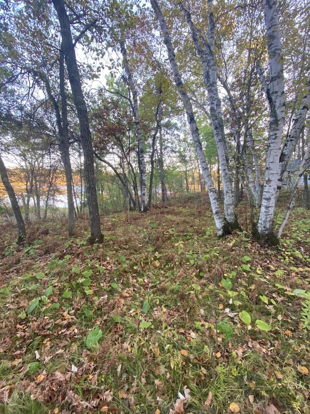 56460 198th St, Park Rapids, MN 56470