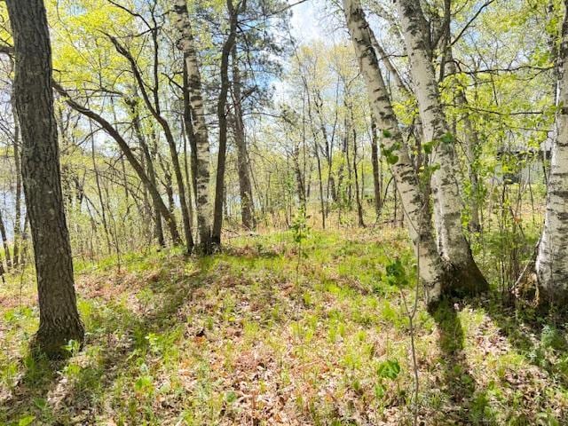 56460 198th St, Park Rapids, MN 56470