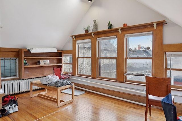 3205 Grand Ave S, Minneapolis, MN 55408 - bonus room with radiator heating unit, vaulted ceiling, and wood-type flooring