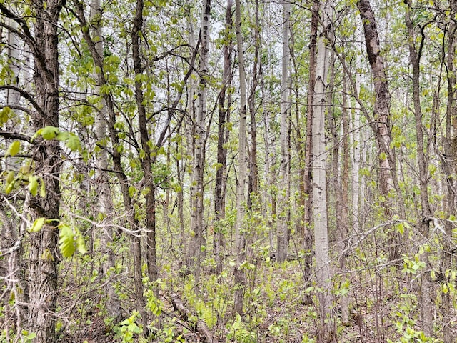 TBD 22nd St NW, Baudette, MN 56623