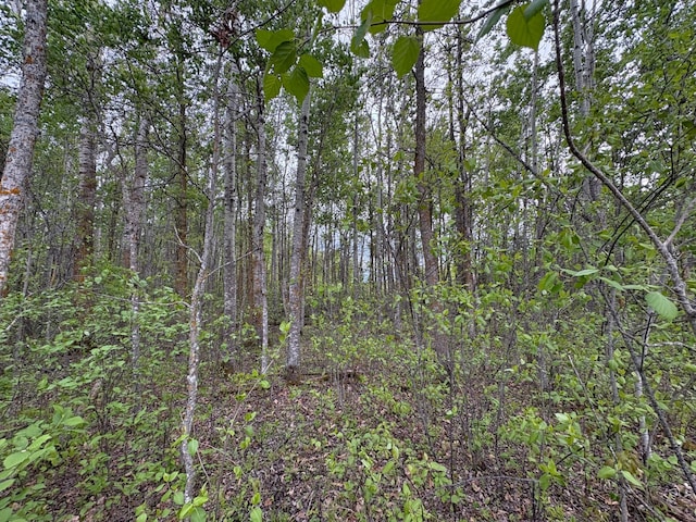 TBD 22nd St NW, Baudette, MN 56623