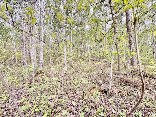 TBD 22nd St NW, Baudette, MN 56623