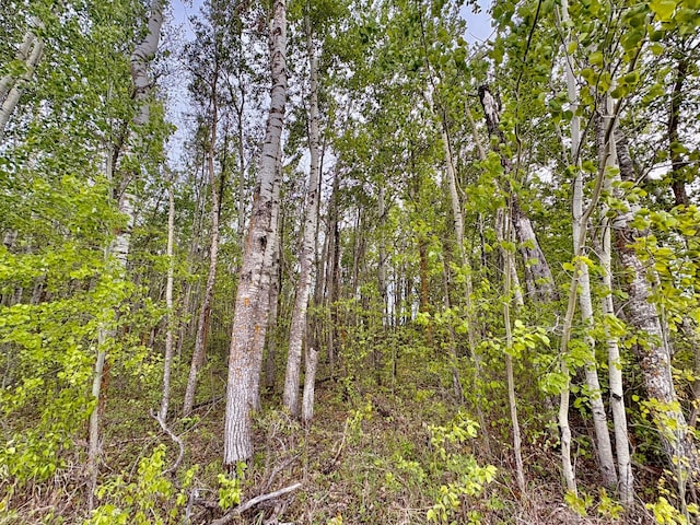 TBD 22nd St NW, Baudette, MN 56623