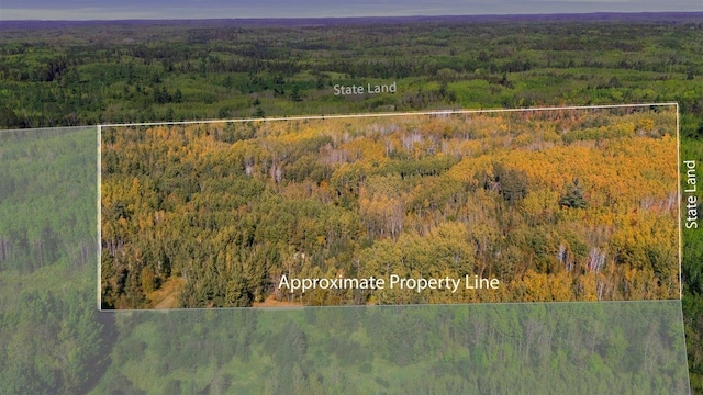 10397 Johnson Rd, Orr, MN 55771 - aerial overview of property's location featuring a heavily wooded area and property parcel outlined