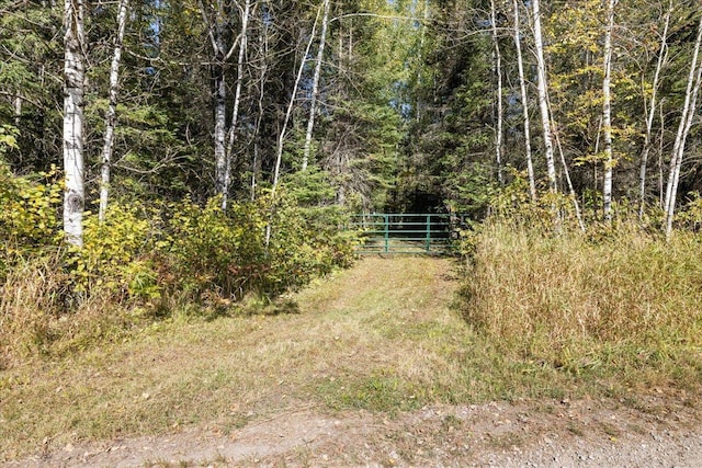10397 Johnson Rd, Orr, MN 55771 - view of wooded area