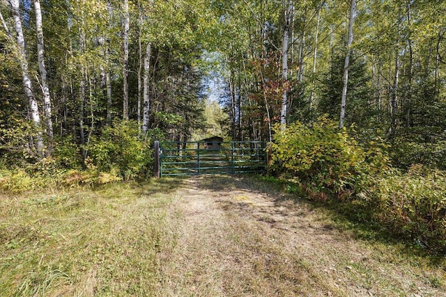 10397 Johnson Rd, Orr, MN 55771 - view of dirt / gravel road featuring a gate and a view of trees