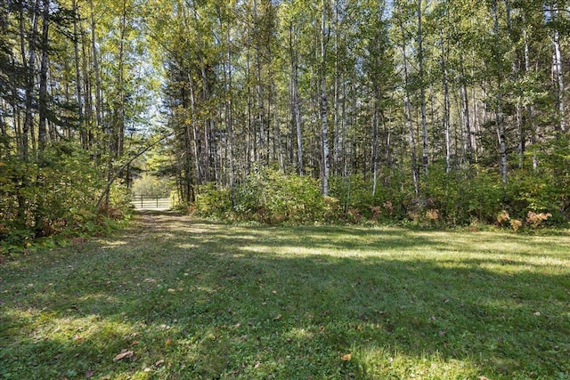 10397 Johnson Rd, Orr, MN 55771 - view of green lawn with a view of trees