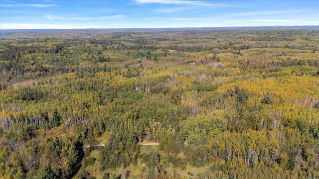 10397 Johnson Rd, Orr, MN 55771 - aerial view of property's location with a heavily wooded area