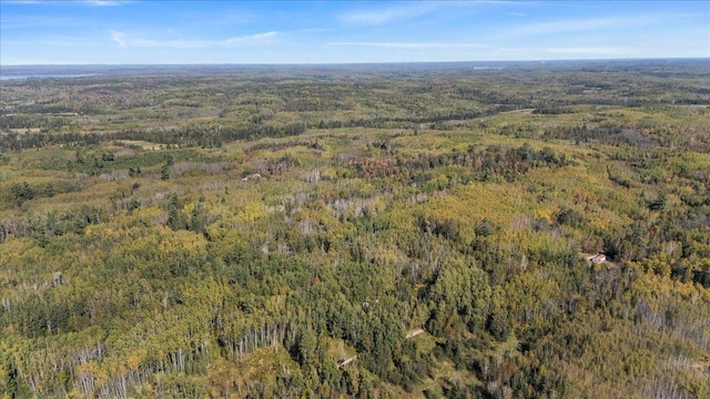10397 Johnson Rd, Orr, MN 55771 - aerial view of property and surrounding area with a forest