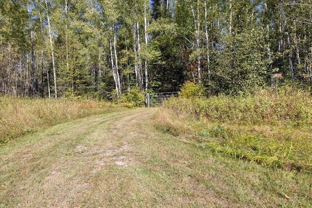 10397 Johnson Rd, Orr, MN 55771 - view of road featuring a wooded view