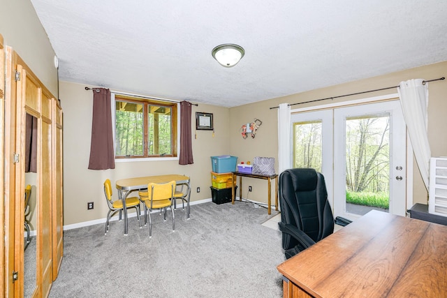 3818 Erickson Rd, Barnum, MN 55707 - office area with a textured ceiling, baseboards, light colored carpet, and french doors