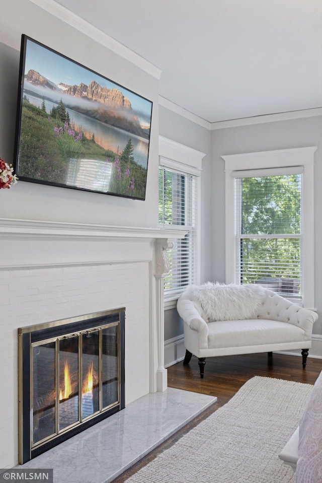 46 Crocus Pl, Saint Paul, MN 55102 - living area with wood finished floors, ornamental molding, a fireplace, and baseboards