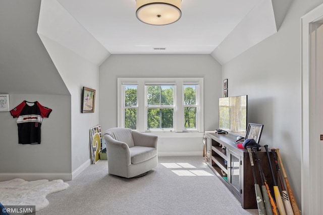46 Crocus Pl, Saint Paul, MN 55102 - sitting room featuring carpet floors, baseboards, and vaulted ceiling