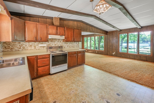 18587 Dover Rd, Clearwater, MN 55320 - kitchen with electric range oven, under cabinet range hood, light countertops, brown cabinetry, and a sink