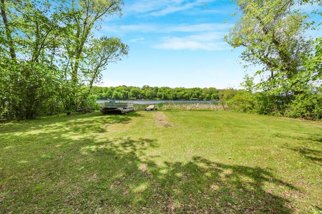 18587 Dover Rd, Clearwater, MN 55320 - view of grassy yard featuring a water view and a view of trees