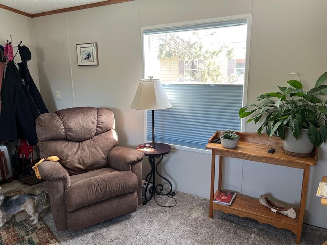3900 Irvine Avenue Nw Hillcrest Manor, Lot 766, Bemidji, MN 56601 - photo 2