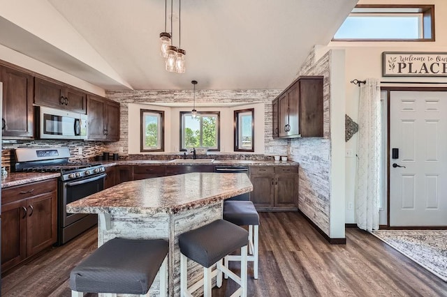 10034 191st Ave NW, Elk River, MN 55330 - kitchen featuring appliances with stainless steel finishes, lofted ceiling, a sink, dark wood finished floors, and dark brown cabinetry
