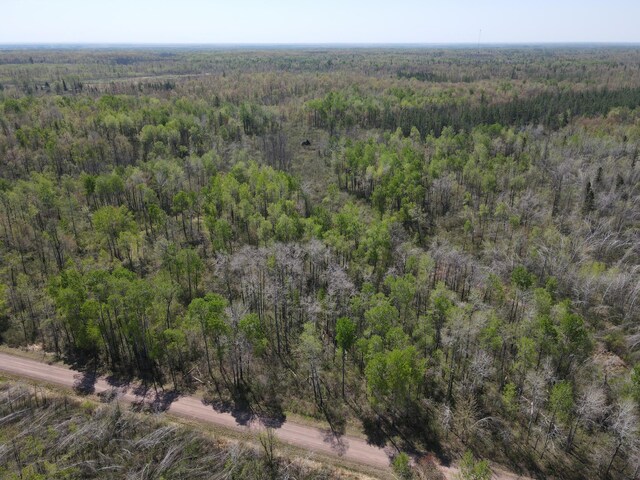 TBD Engine Hill Rd, Dairyland Twp, WI 54830 - photo 2