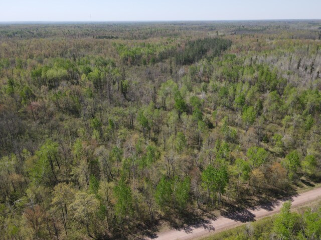TBD Engine Hill Rd, Dairyland Twp, WI 54830 - photo 3