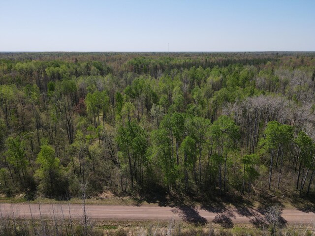 TBD Engine Hill Rd, Dairyland Twp, WI 54830 - photo 4