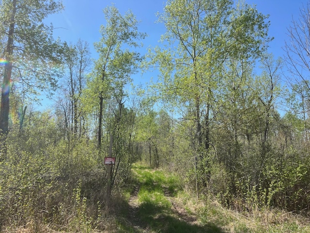 TBD Engine Hill Rd, Dairyland Twp, WI 54830 - photo 5