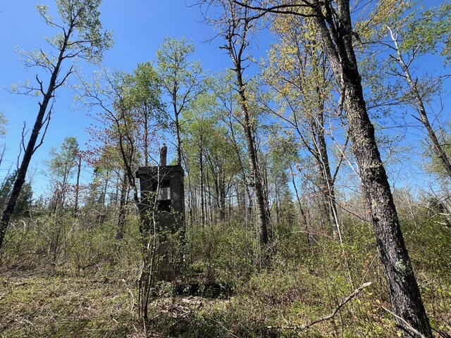 TBD Engine Hill Rd, Dairyland Twp, WI 54830 - photo 7