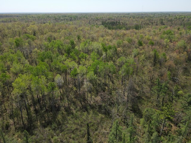TBD Engine Hill Rd, Dairyland Twp, WI 54830 - photo 14