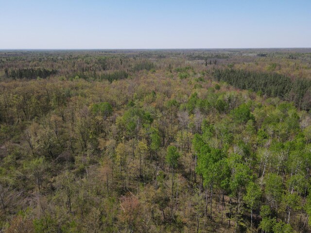 TBD Engine Hill Rd, Dairyland Twp, WI 54830 - photo 15