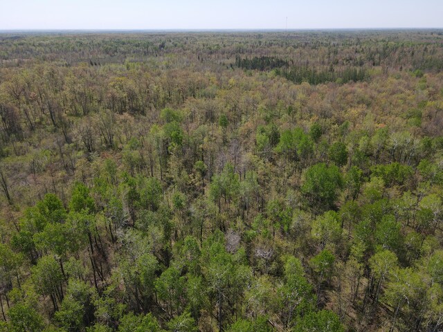 TBD Engine Hill Rd, Dairyland Twp, WI 54830 - photo 16