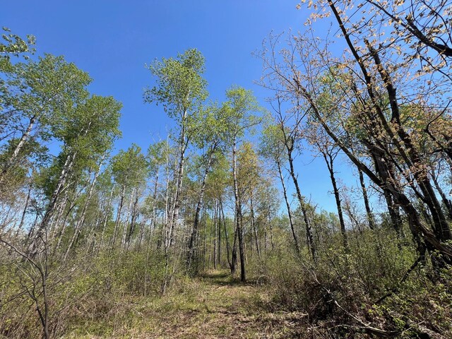 TBD Engine Hill Rd, Dairyland Twp, WI 54830 - photo 17