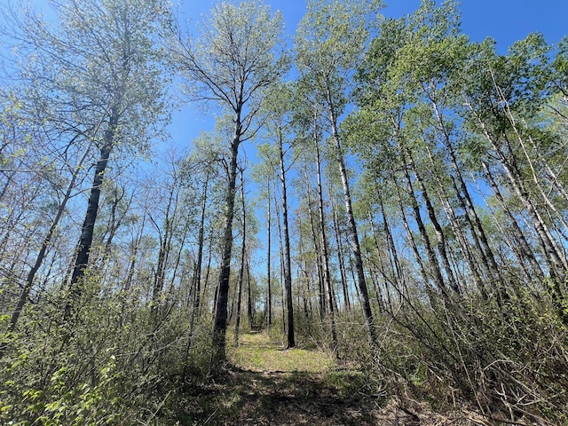 TBD Engine Hill Rd, Dairyland Twp, WI 54830 - photo 18