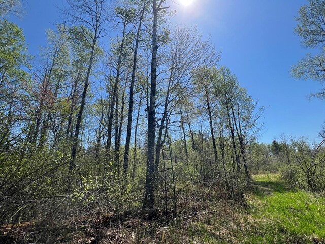 TBD Engine Hill Rd, Dairyland Twp, WI 54830 - photo 19