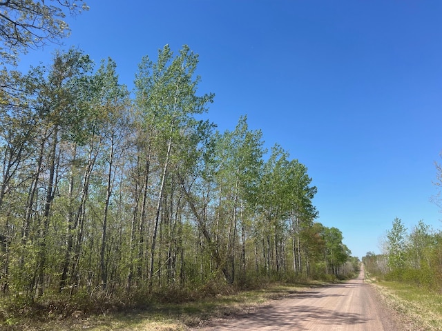 TBD Engine Hill Rd, Dairyland Twp, WI 54830 - photo 20