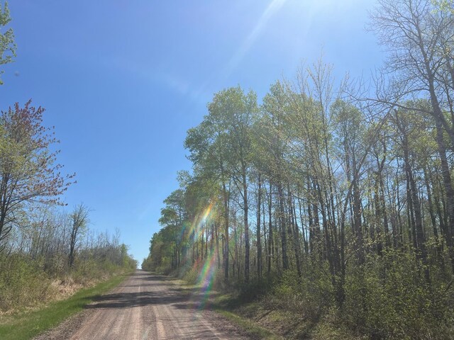 TBD Engine Hill Rd, Dairyland Twp, WI 54830 - photo 21