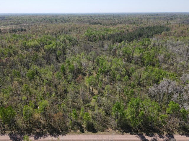 TBD Engine Hill Rd, Dairyland Twp, WI 54830 - photo 22
