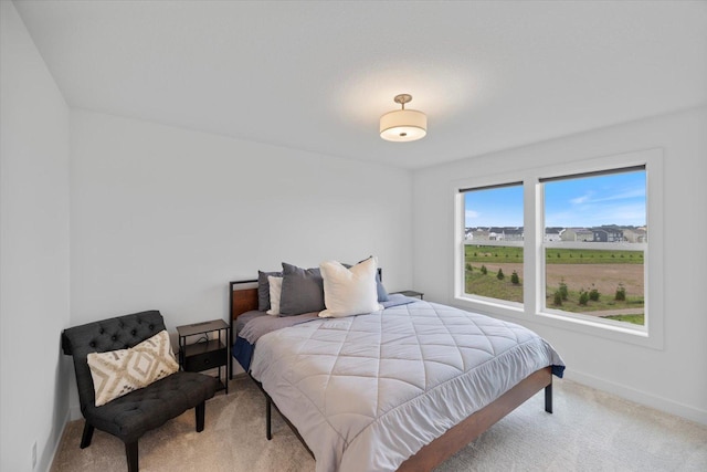 10082 Arrowwood Trl, Woodbury, MN 55129 - bedroom featuring light colored carpet and baseboards